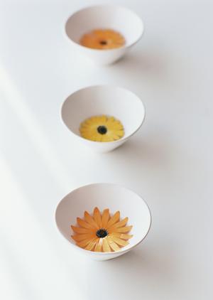 安雲野市その他他麻雀広場じゃんまる